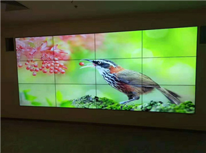Shenzhen Longgang SEG Plaza LCD splicing screen project case